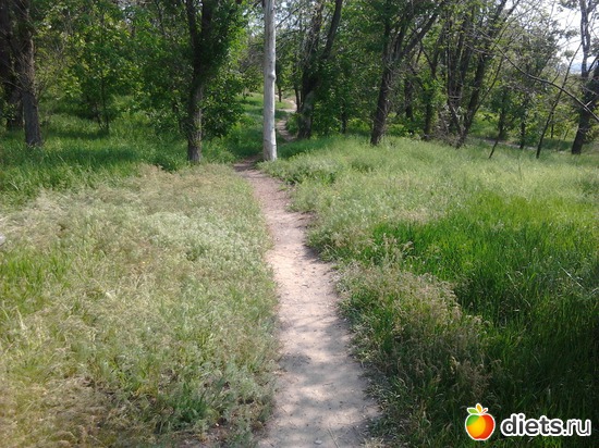 15 ����: �������� 19.05