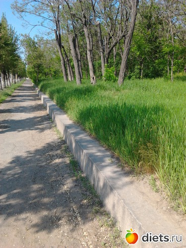 16 ����: �������� 19.05