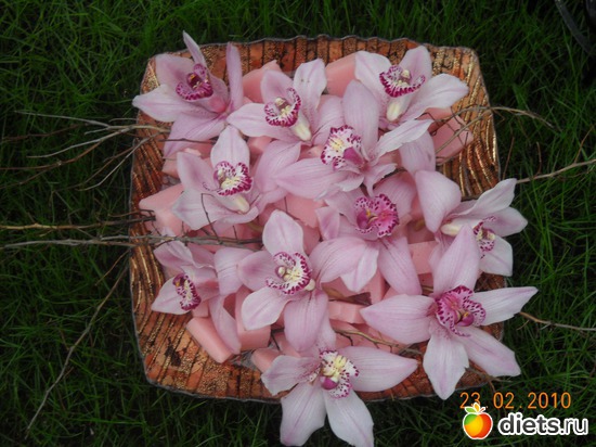 6 фото: цвИточки