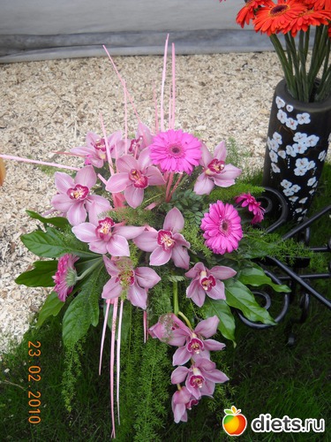 9 фото: цвИточки