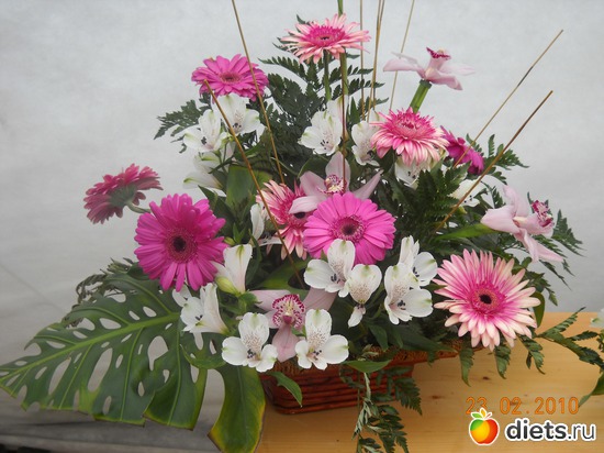 10 фото: цвИточки