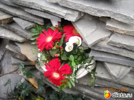 15 фото: цвИточки