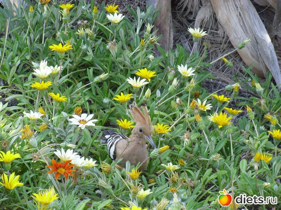 4 фото: картинки