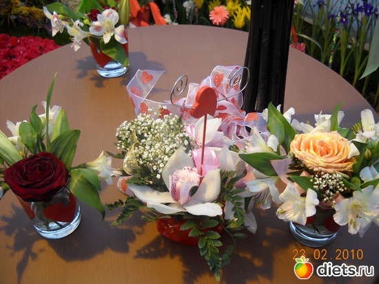 17 фото: цвИточки