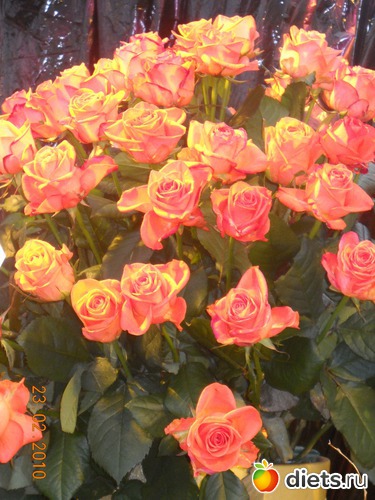 20 ����: ��������