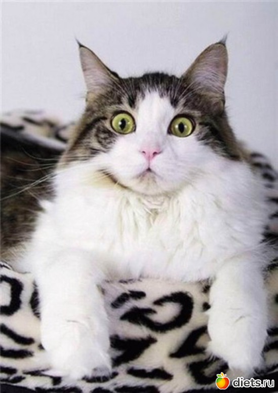 4 ����: ���-���