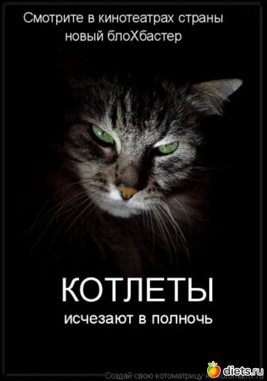 8 фото: кис-кис