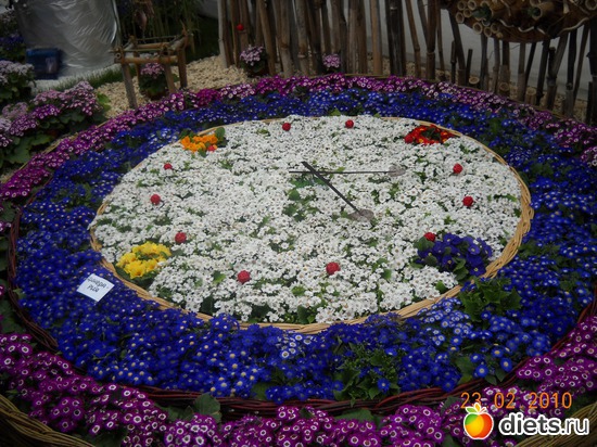 4 фото: цвИточки