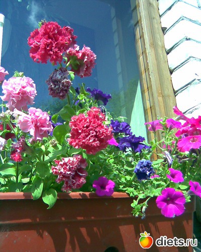 ФОТО004, альбом: МОИ ФОТО