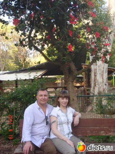 ������ ����. �������., ������: NEW