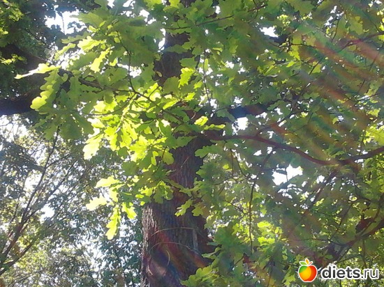 6 ����: ����������� ������, ��� ���� � ������