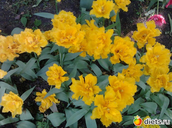 13 ����: ����������� ������, ��� ���� � ������