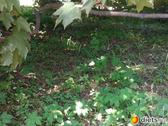 17 ����: ����������� ������, ��� ���� � ������