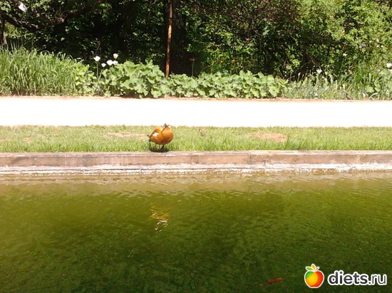 21 ����: ����������� ������, ��� ���� � ������