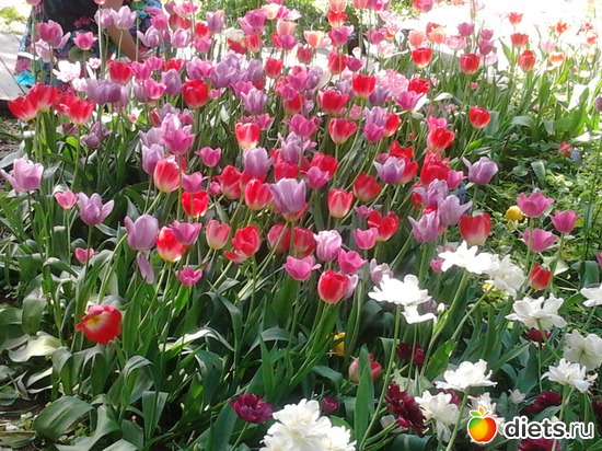 24 ����: ����������� ������, ��� ���� � ������