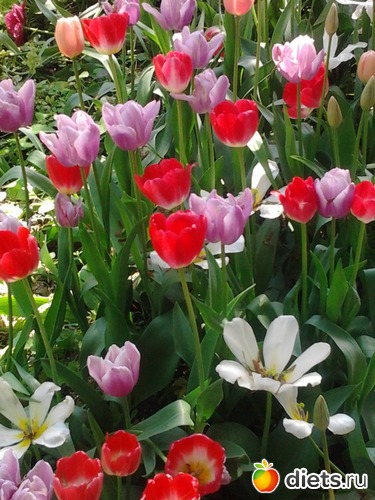 16 ����: ����������� ������, ��� ���� � ������