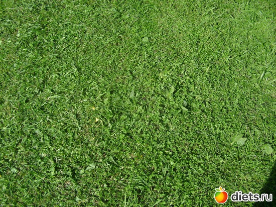 ����� ����� ��������� ��������������, ������: ����