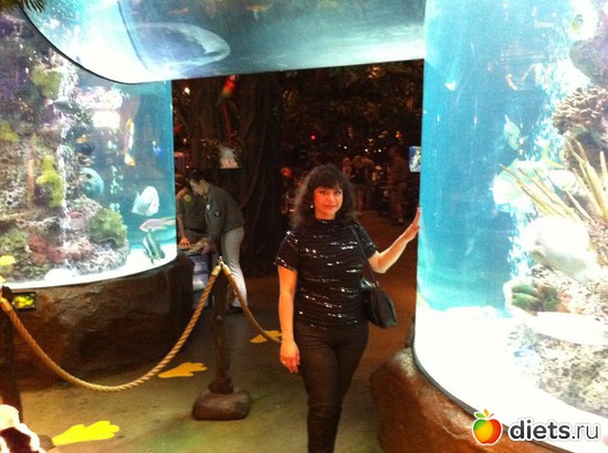 7 ����: � � ����� ������ 2011