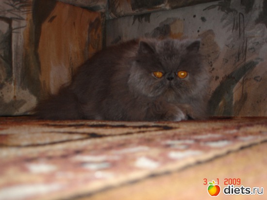 2 ����: �����������