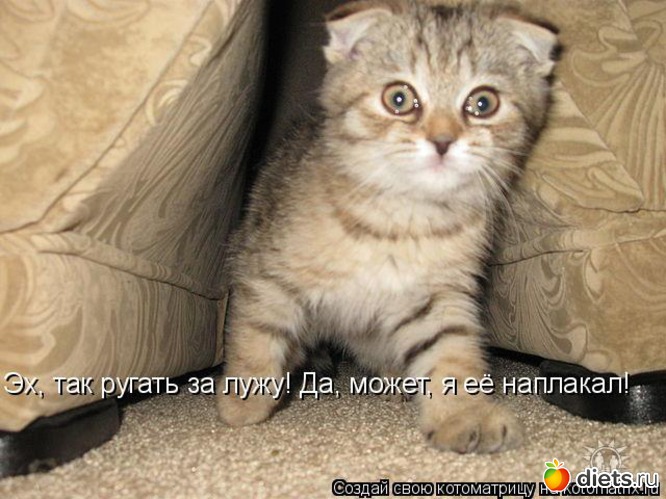 1 ����: ����������2