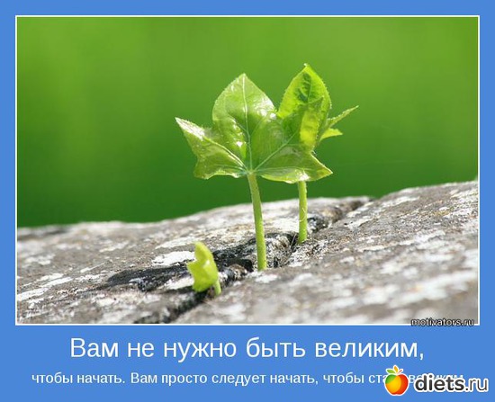 5 ����: ����������2