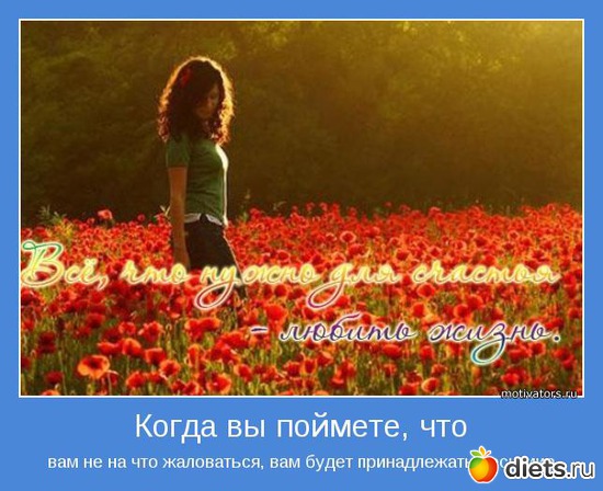 14 ����: ����������2