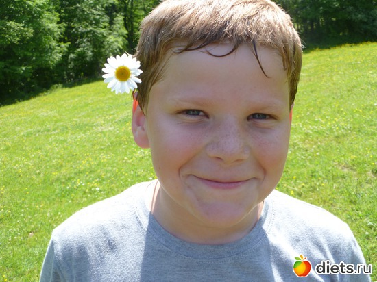 вот такие там ромашки, альбом: моя семья