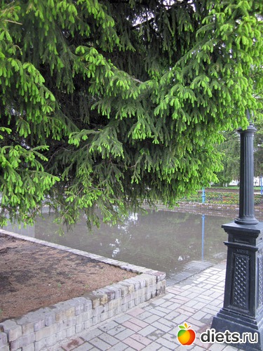 Ёлка. Иголочки уже подросли, альбом: Я вижу