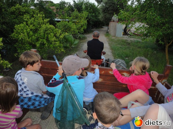 3 фото: Мои тренинги