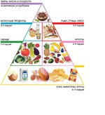 Эксперимент стройности