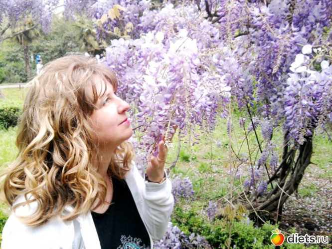 3 ����: ���� ��������.