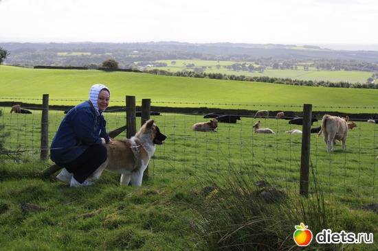 ������� � ��� ������ ��������, ������: � ��� � �