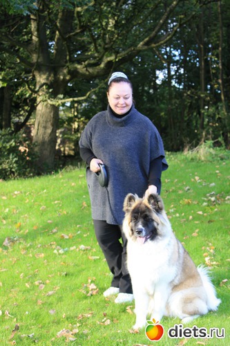 ��������� ������� ���, ������: � ��� � �