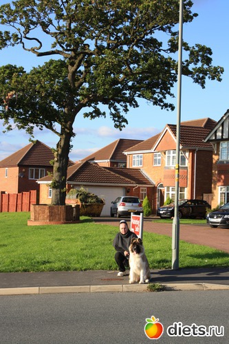 1 ����: � ��� � �