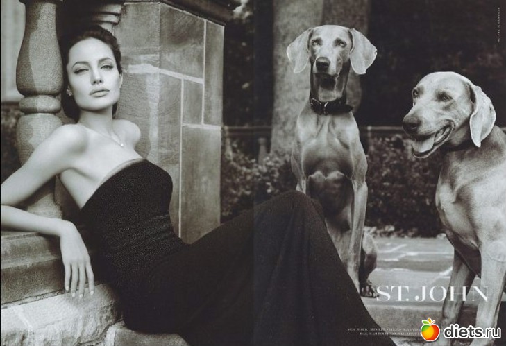 1 ����: Perfect