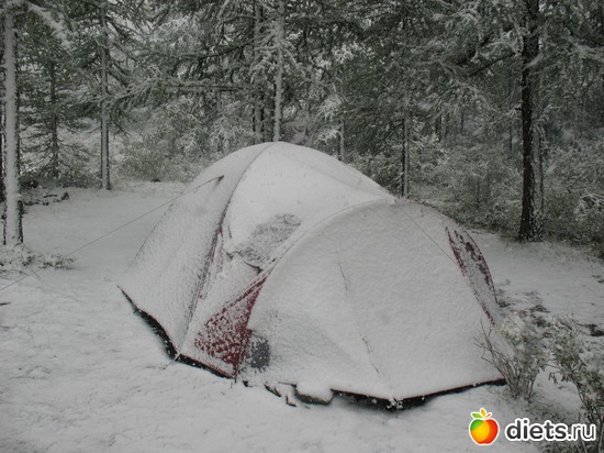 ���� � ���� :), ������: � �����