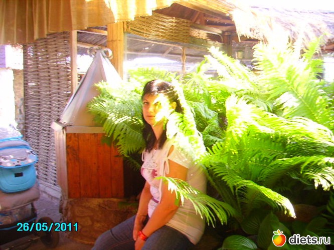 ����������, ������: �