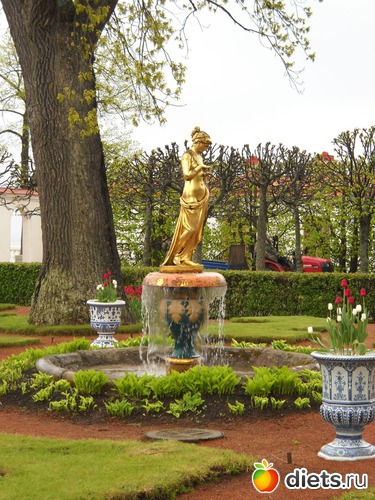 19 ����: 3 ��� � ������