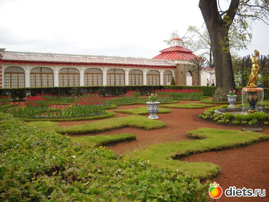 20 ����: 3 ��� � ������