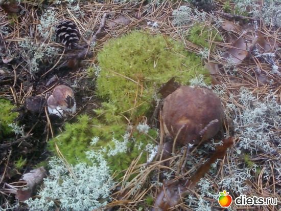 2 ����: ������