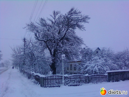 ������, ������: ������