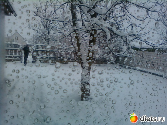 5 ����: ������