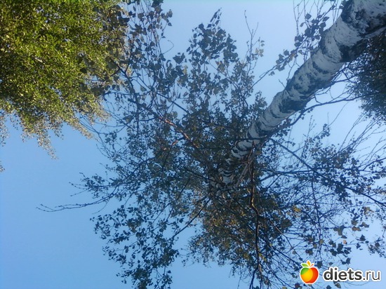 6 ����: ������