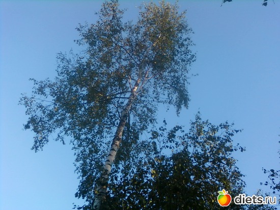 7 ����: ������