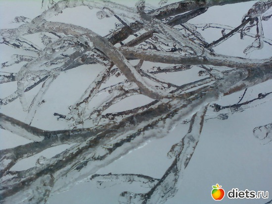 8 ����: ������