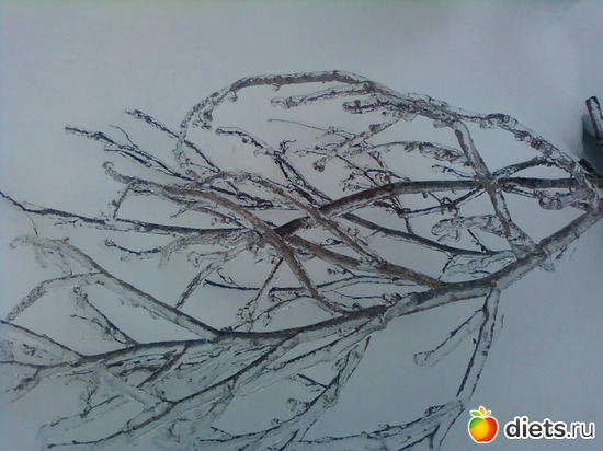 ������� ����������, ������: ������