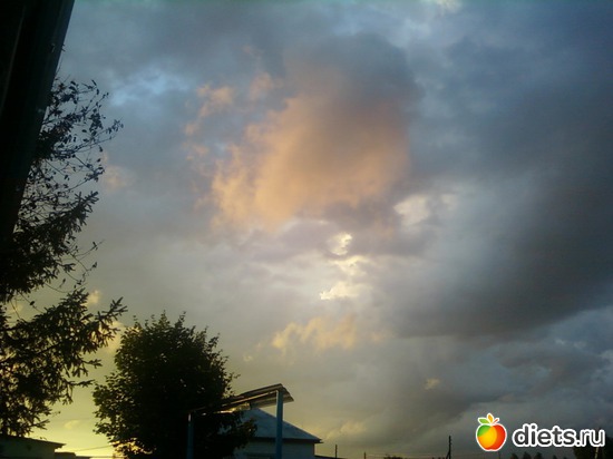 ����� ������, ������: ������