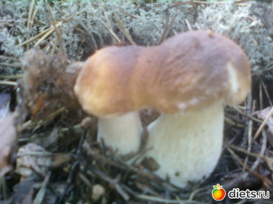 16 ����: ������