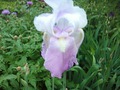 ����