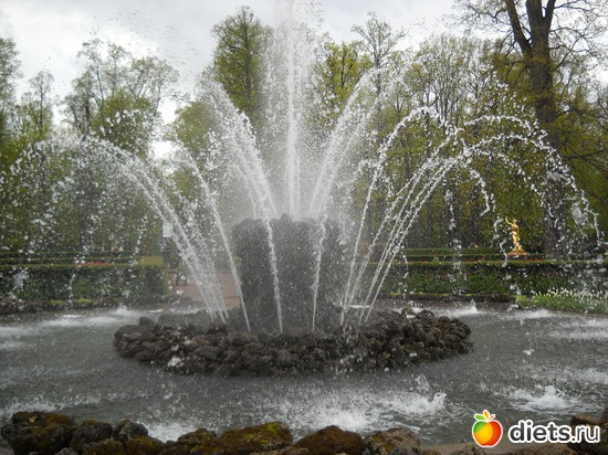 21 ����: 3 ��� � ������